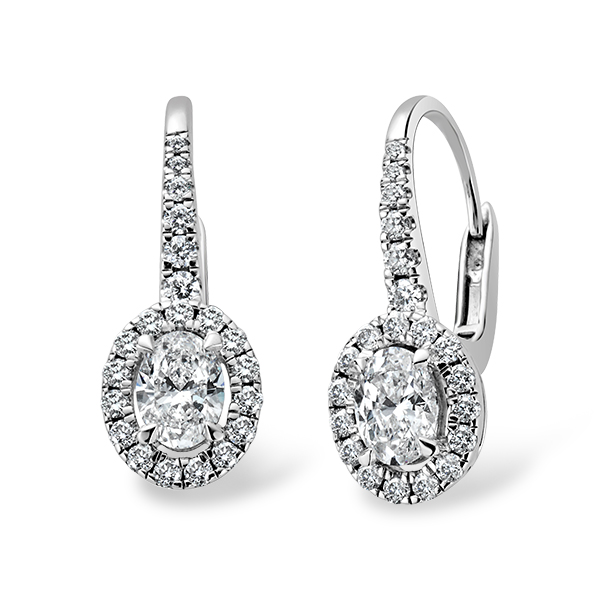 Oval Cut Diamond Drop Halo Earrings chester